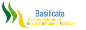 SSA Basilicata